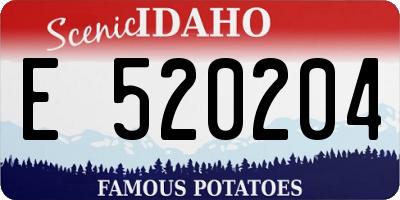 ID license plate E520204