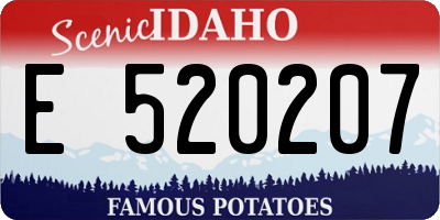 ID license plate E520207