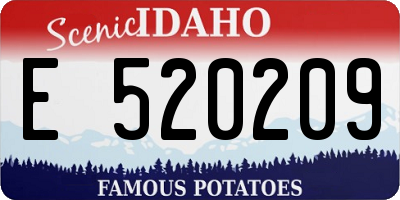 ID license plate E520209