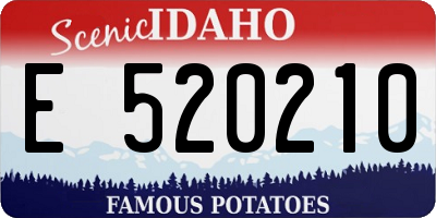 ID license plate E520210