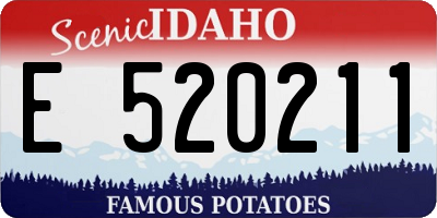 ID license plate E520211