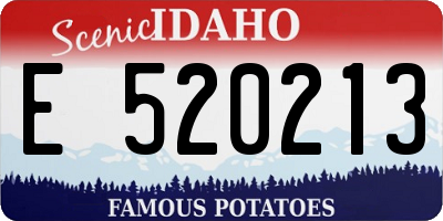 ID license plate E520213