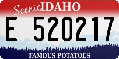 ID license plate E520217