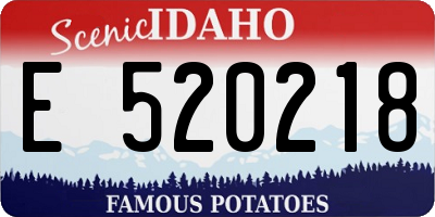 ID license plate E520218