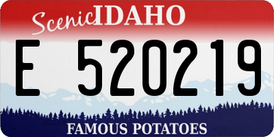 ID license plate E520219