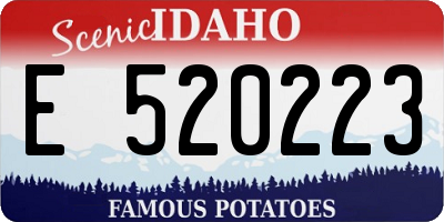 ID license plate E520223