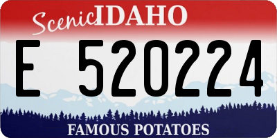 ID license plate E520224