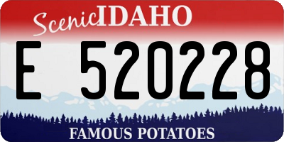 ID license plate E520228