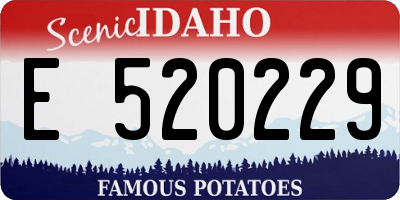 ID license plate E520229