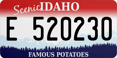 ID license plate E520230