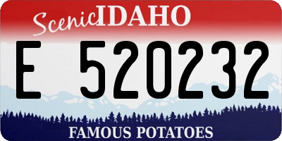 ID license plate E520232