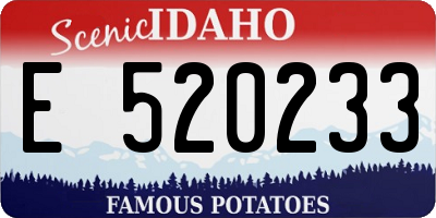 ID license plate E520233