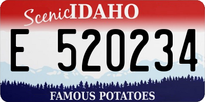 ID license plate E520234