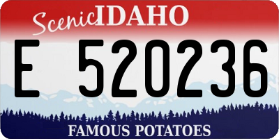 ID license plate E520236