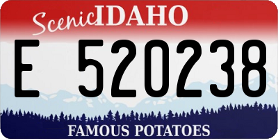 ID license plate E520238