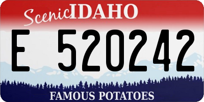 ID license plate E520242