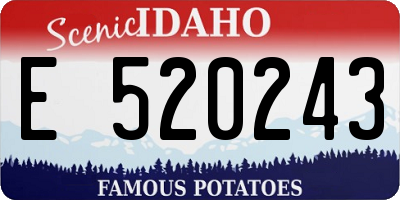 ID license plate E520243