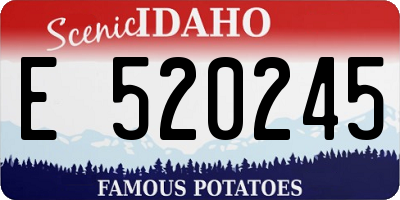 ID license plate E520245