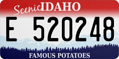 ID license plate E520248