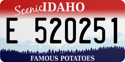 ID license plate E520251