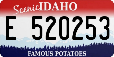 ID license plate E520253