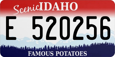 ID license plate E520256