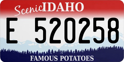 ID license plate E520258