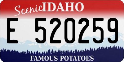 ID license plate E520259