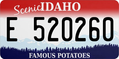ID license plate E520260