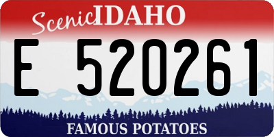ID license plate E520261