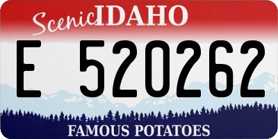 ID license plate E520262
