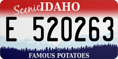 ID license plate E520263