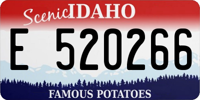 ID license plate E520266