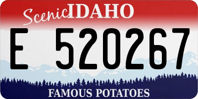 ID license plate E520267