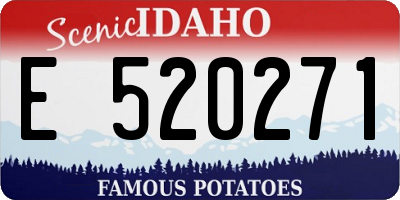 ID license plate E520271