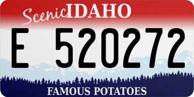 ID license plate E520272