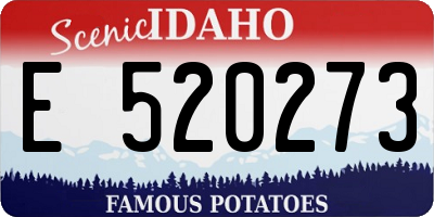 ID license plate E520273