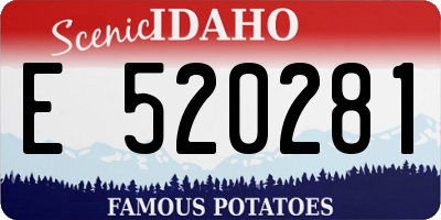 ID license plate E520281