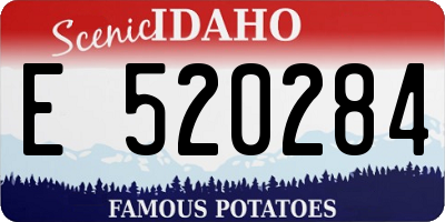 ID license plate E520284