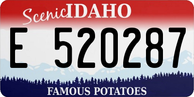 ID license plate E520287