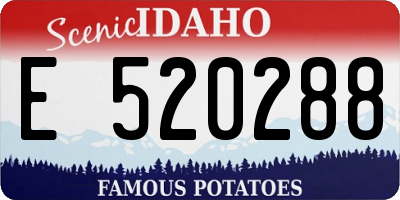 ID license plate E520288