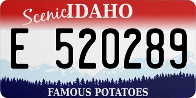 ID license plate E520289
