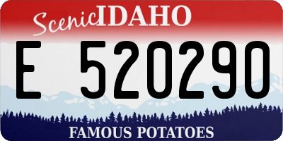 ID license plate E520290