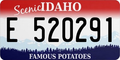 ID license plate E520291