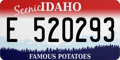 ID license plate E520293