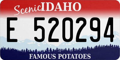 ID license plate E520294