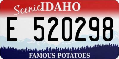 ID license plate E520298