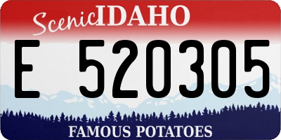 ID license plate E520305