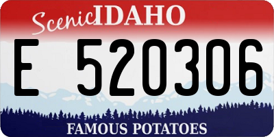 ID license plate E520306