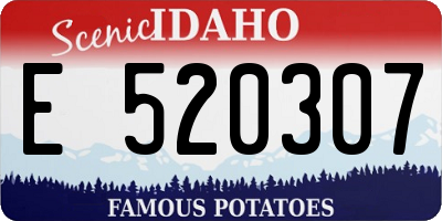 ID license plate E520307